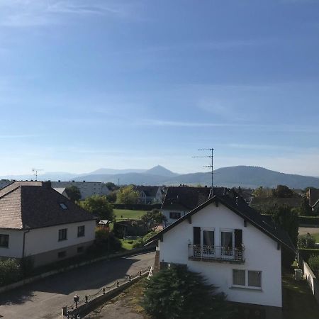 Appartement Chaleureux Et Lumineux Avec Vue ! Au Centre Alsace Sélestat Εξωτερικό φωτογραφία