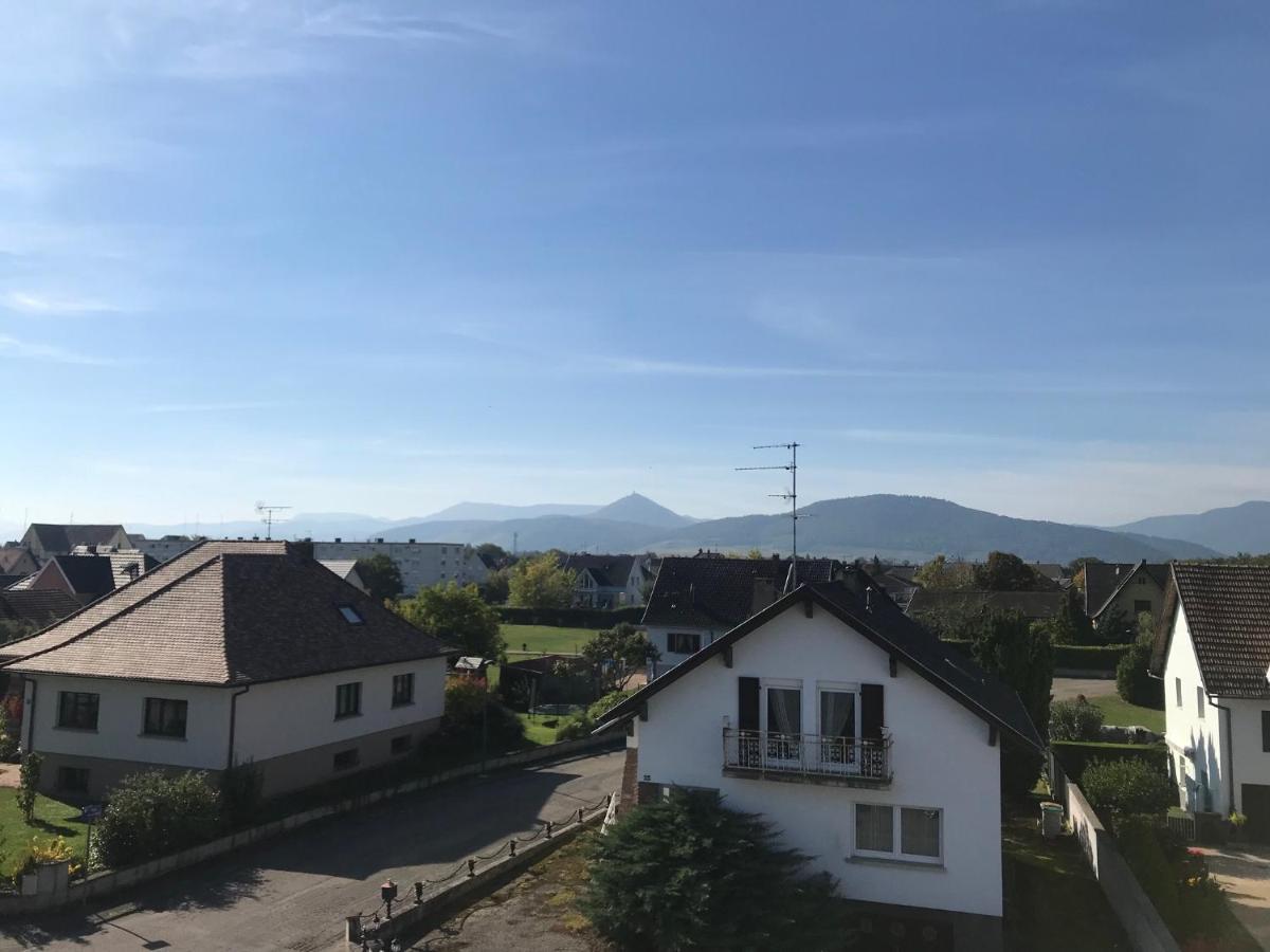 Appartement Chaleureux Et Lumineux Avec Vue ! Au Centre Alsace Sélestat Εξωτερικό φωτογραφία