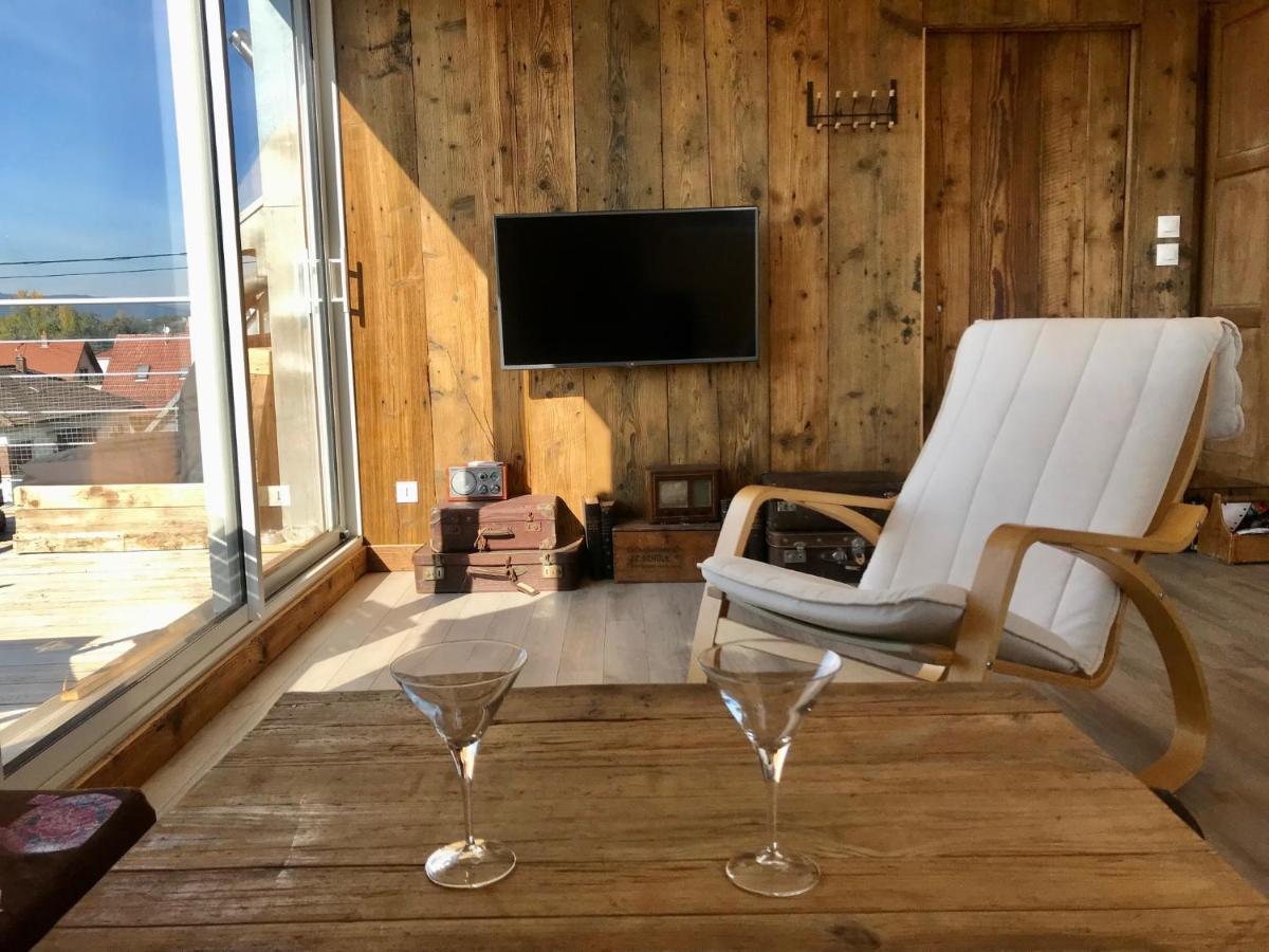 Appartement Chaleureux Et Lumineux Avec Vue ! Au Centre Alsace Sélestat Εξωτερικό φωτογραφία