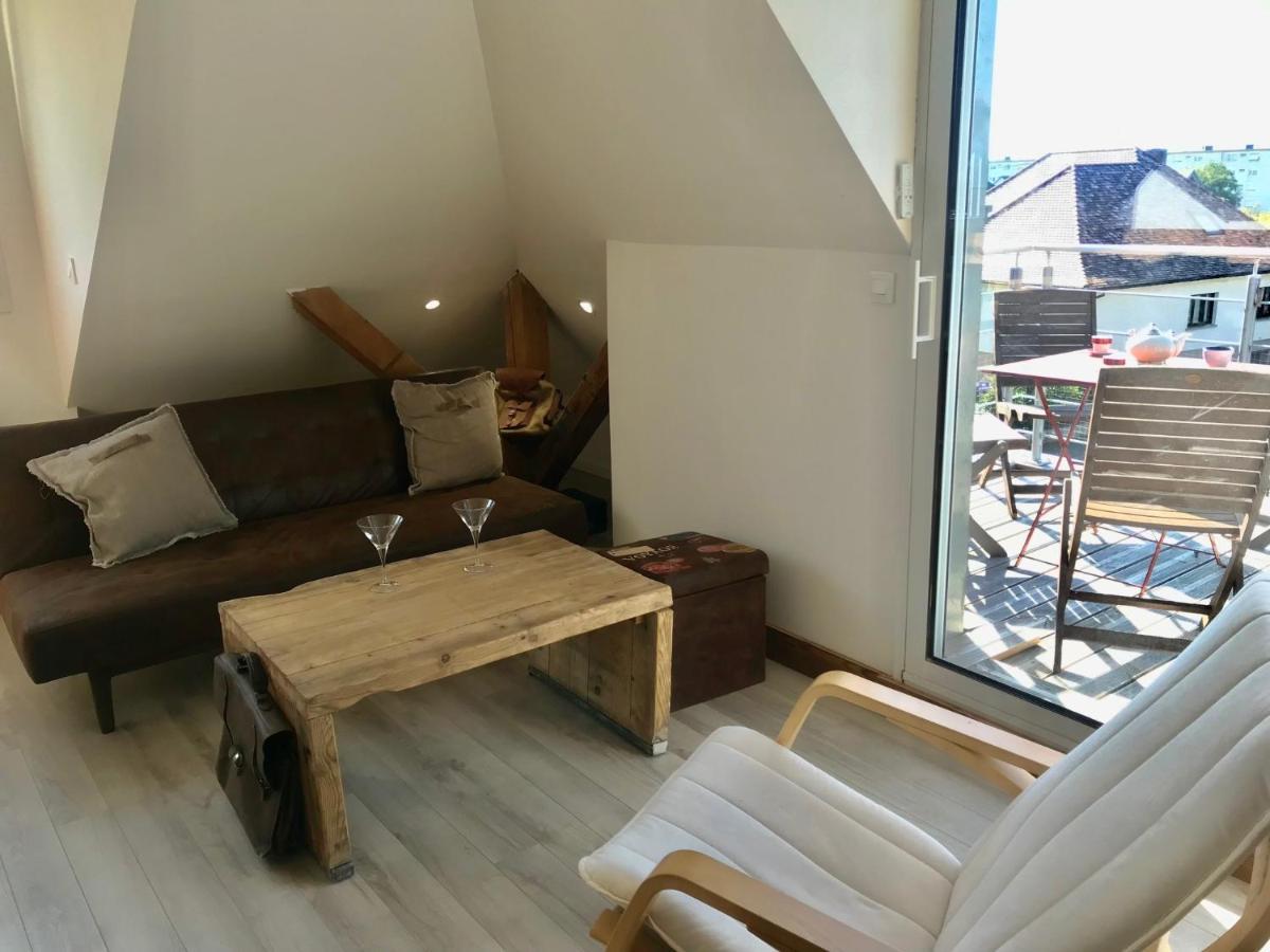 Appartement Chaleureux Et Lumineux Avec Vue ! Au Centre Alsace Sélestat Εξωτερικό φωτογραφία