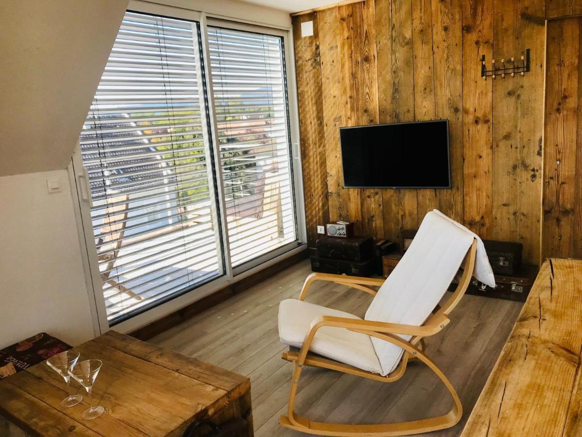 Appartement Chaleureux Et Lumineux Avec Vue ! Au Centre Alsace Sélestat Εξωτερικό φωτογραφία