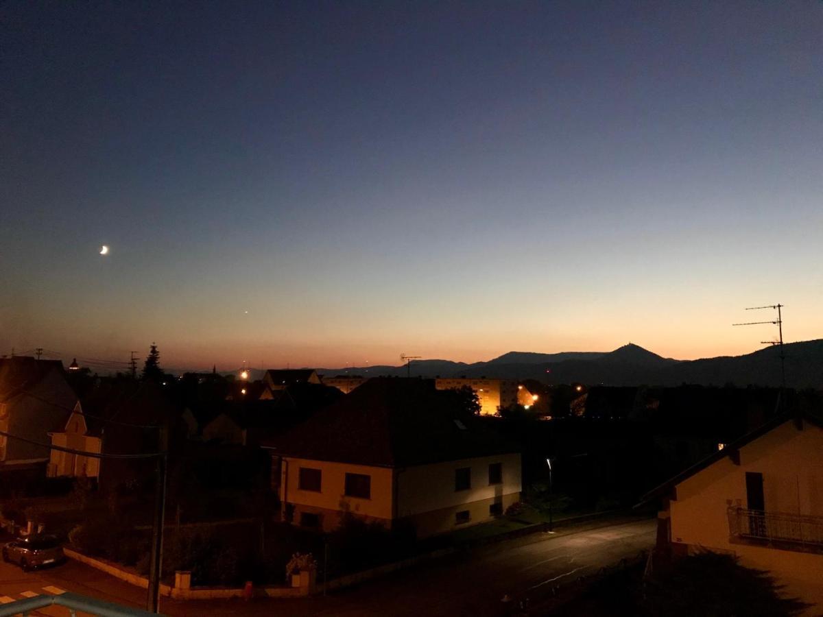 Appartement Chaleureux Et Lumineux Avec Vue ! Au Centre Alsace Sélestat Εξωτερικό φωτογραφία